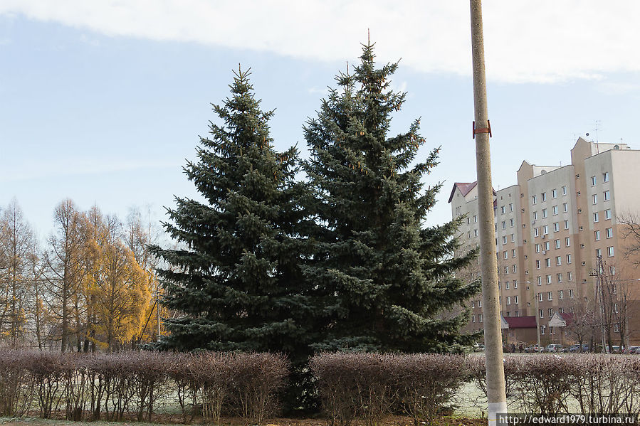 Горки Ленинские Москва и Московская область, Россия