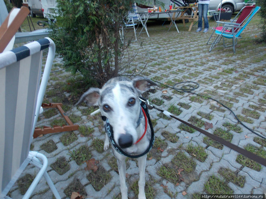 Он появился!!!