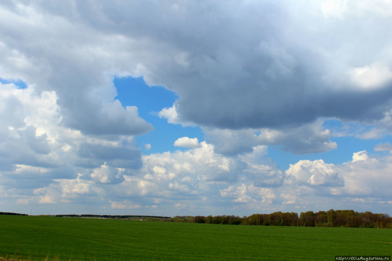 Яндекс.Навигатор: reality