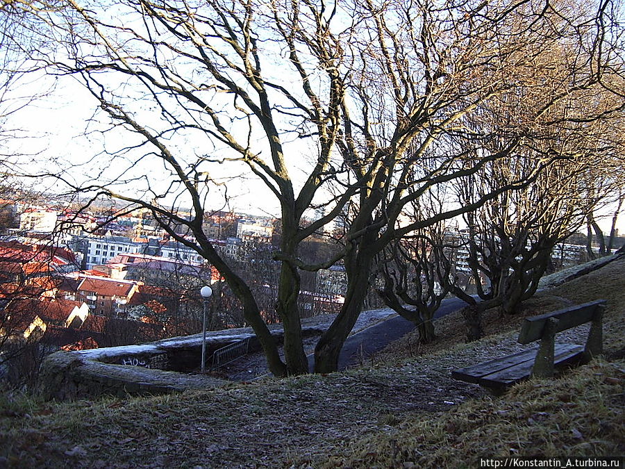 вид с дороги -1