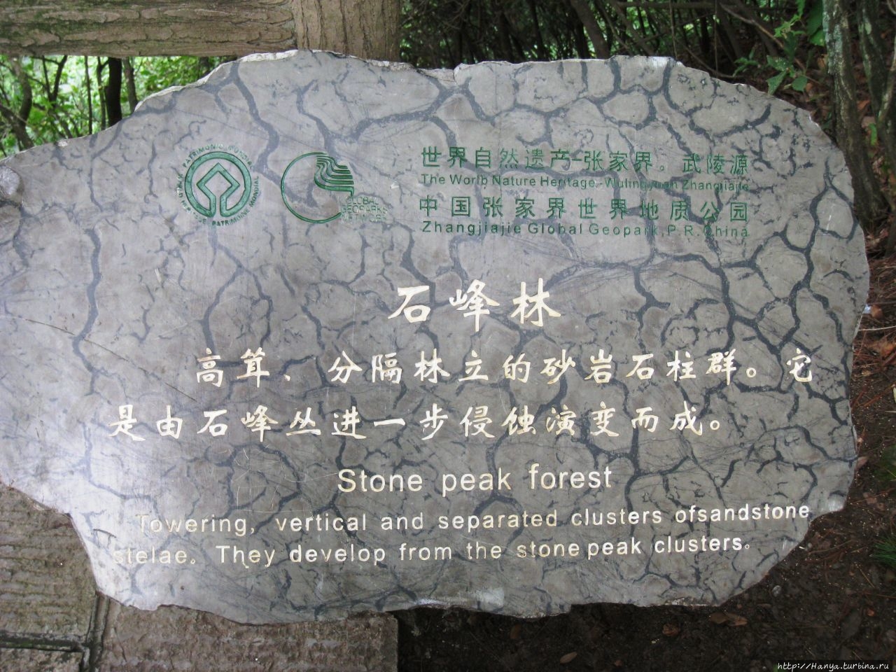 Парк и памятник Хелонгу Чжанцзяцзе Национальный Лесной Парк (Парк Аватар), Китай