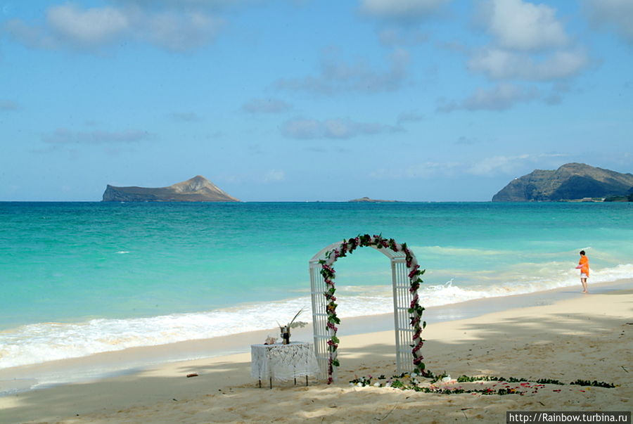 Примерив роль невесты, нужно доиграть её до конца, и пройтись по всему пляжу. Остров Оаху, CША