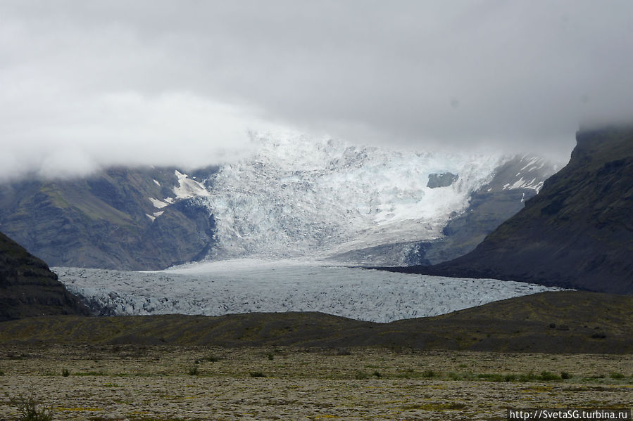 Фотопауза на очередной ледник Vatnajökull, мох и цветочки Южная Исландия, Исландия