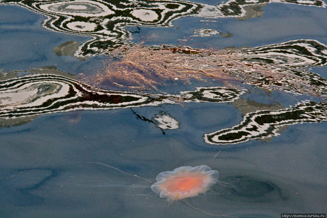 Водяное Солнце Ставангер, Норвегия