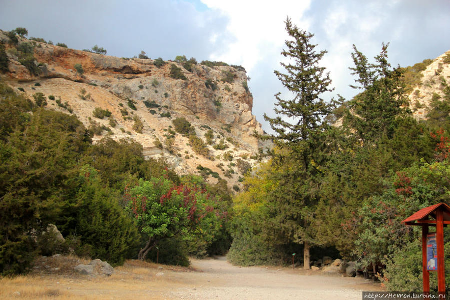 Начало Акамас полуостров Национальный Парк, Кипр