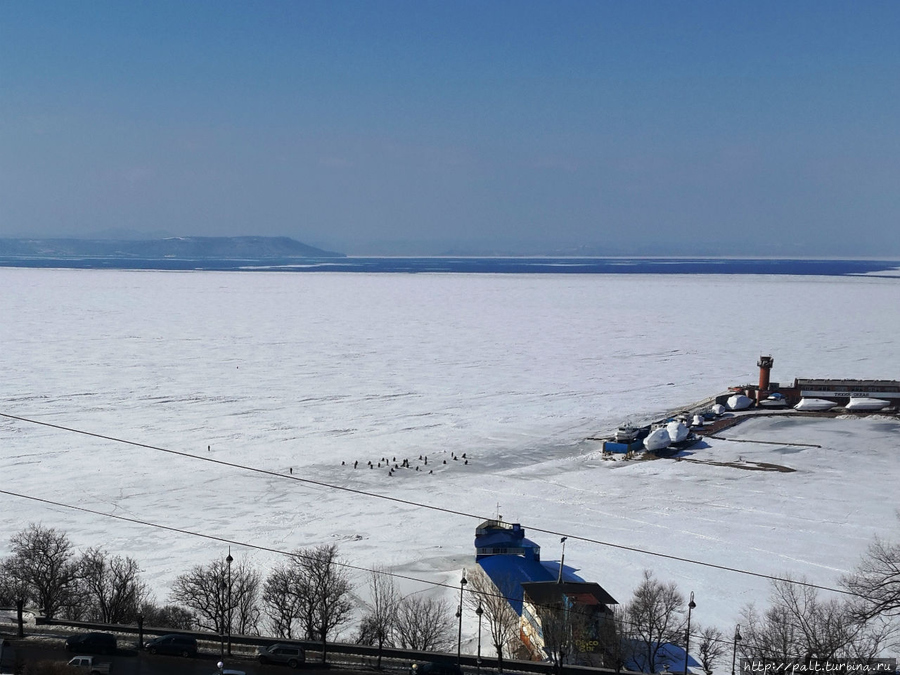 Уже и лед тронулся, а пингвины ни в какую Владивосток, Россия