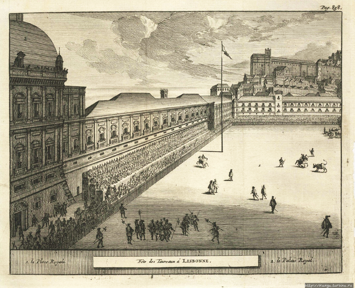 Бой быков перед Королевск