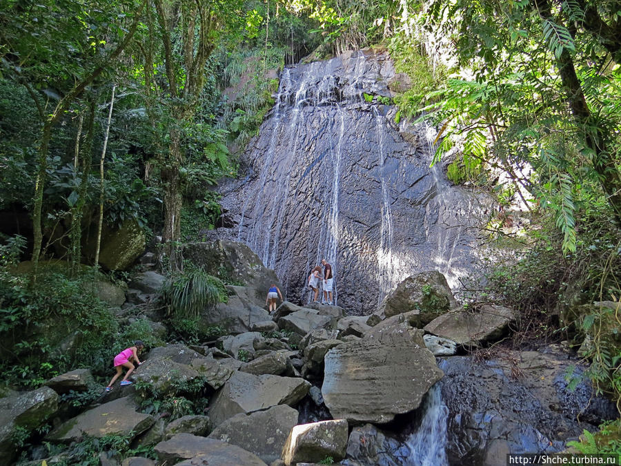 Каскады Коки Эль Юнке Национальный Лес, Пуэрто-Рико
