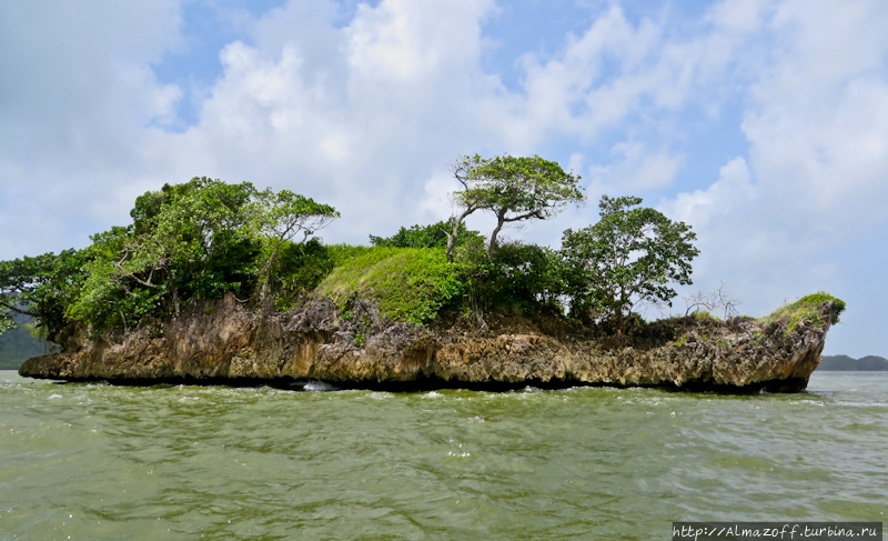 Карибский дневник. В мангровых зарослях. Кайо-Левантадо, Доминиканская Республика