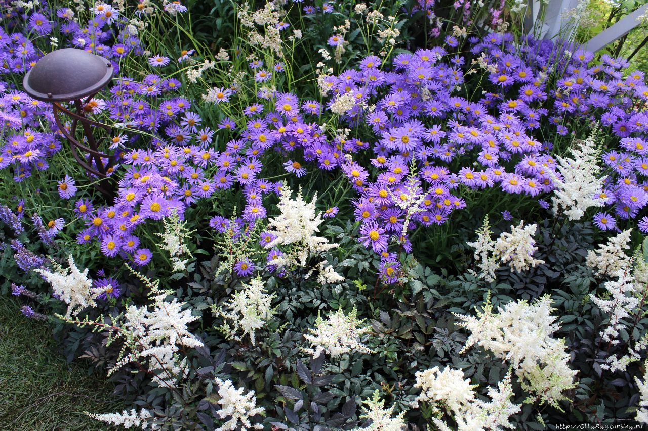 Moscow Flower Show 2017. Фотоотчёт и впечатления. Москва, Россия