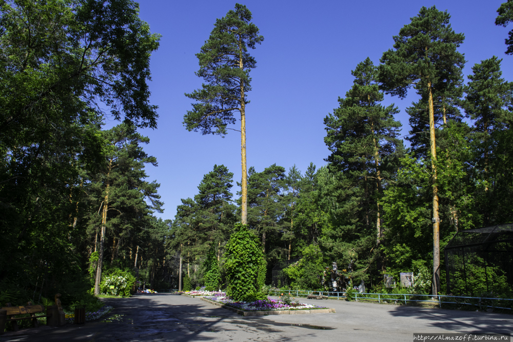 Новосибирский зоопарк Новосибирск, Россия