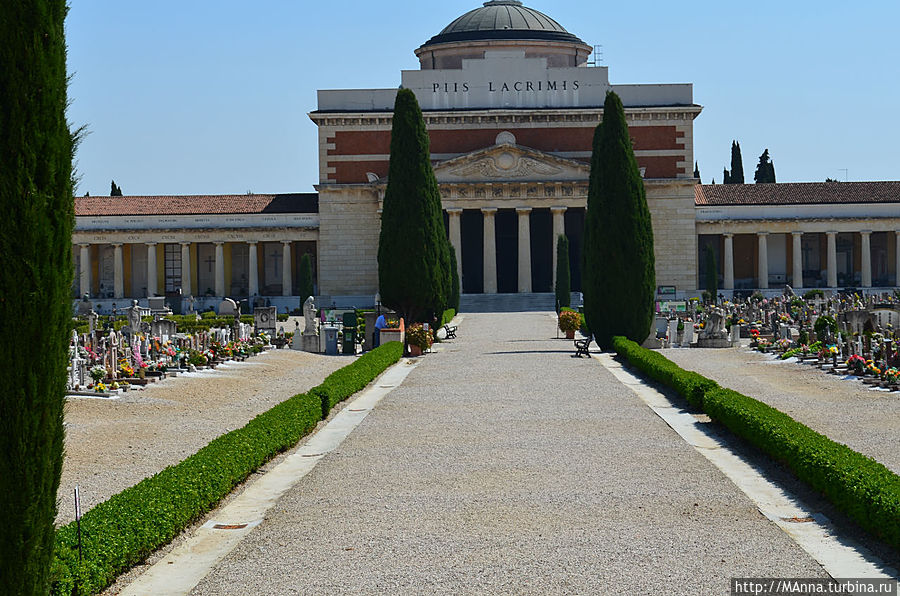 А это.......городское кладбище. Просто бродили и вышли на него...