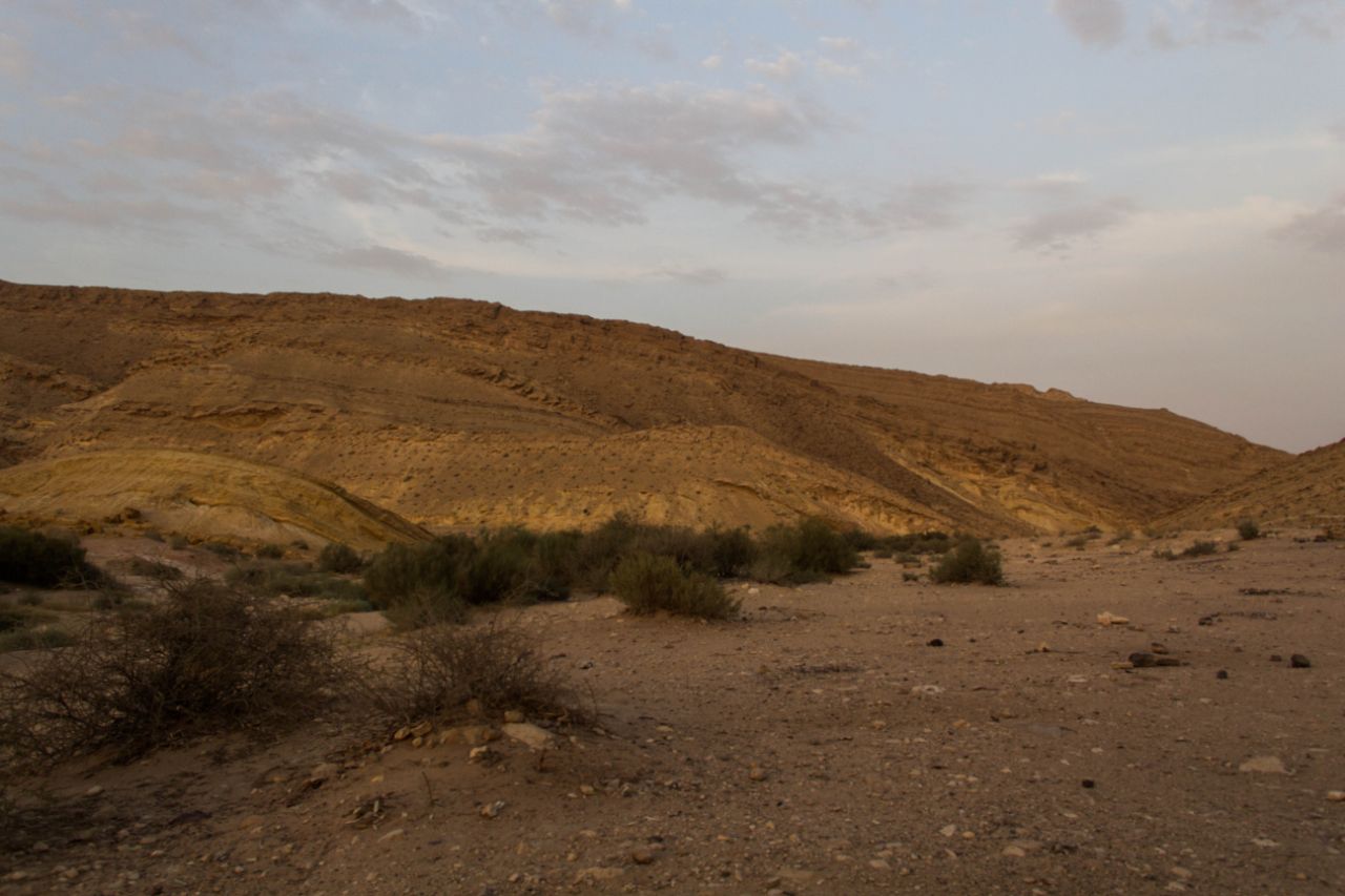 пустыня Негев Негев Пустыня, Израиль