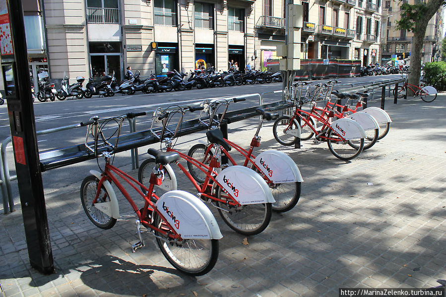 Барселона велосипедная Барселона, Испания