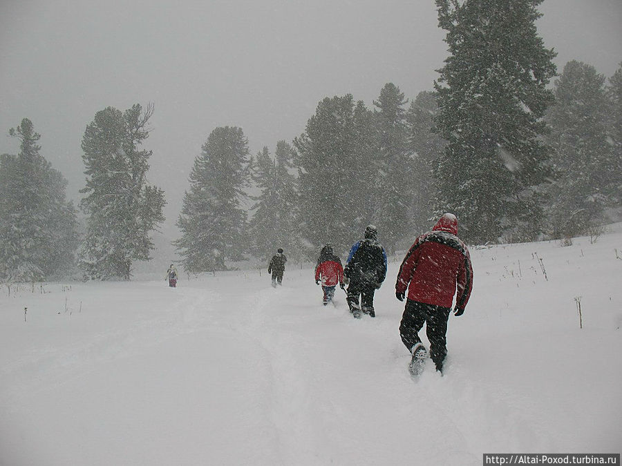 Утаптывание колеи