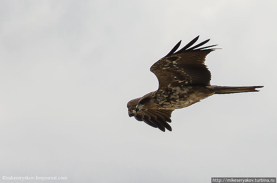 Розовое Озеро Сенегала Озеро Ретба, Сенегал