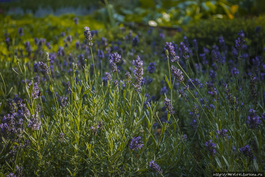 Чем дышит город Рига, Латвия