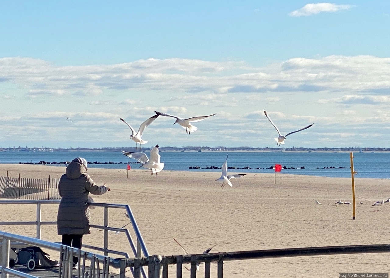 Кони-Айленд Бич / Coney Island Beach