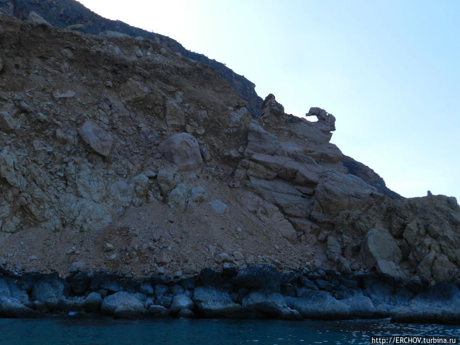 Удивительная Сокотра.  Ч-7. Чайки над волной Остров Сокотра, Йемен