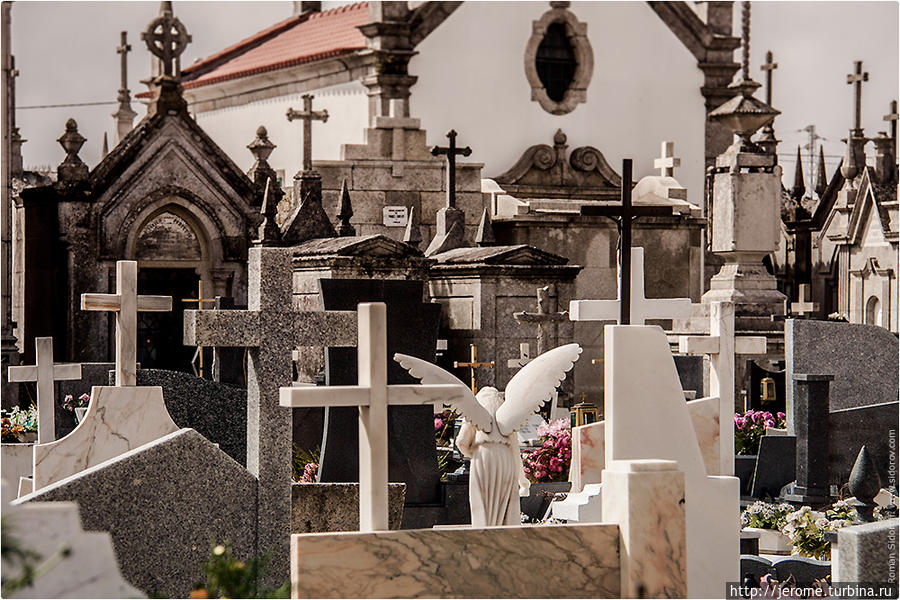 Кладбище. Поргугалия. (Cemetry. Portugal.) Виана-ду-Каштелу, Португалия