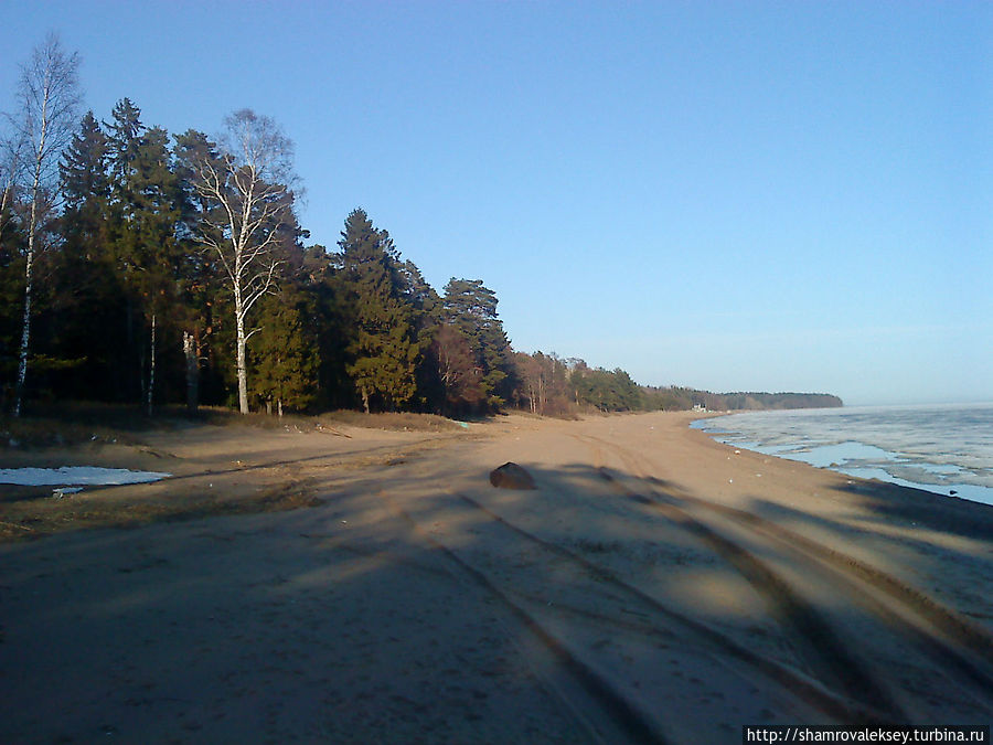 Вдоль берега моря Зеленогорск, Россия