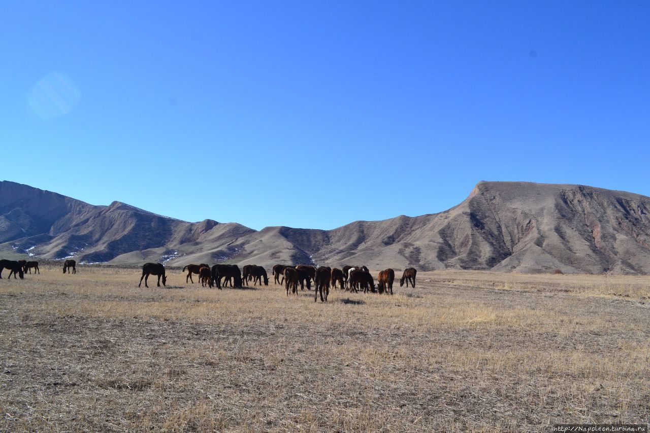 ущелье Кегеты Кегеты, Киргизия