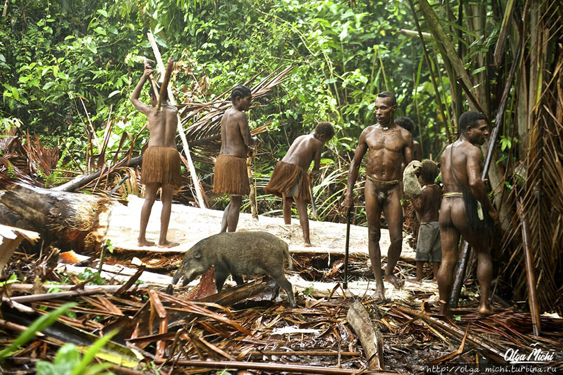 Про Шангри-Ла, Новую Гвинею и смысл жизни. Часть 5 Папуа, Индонезия