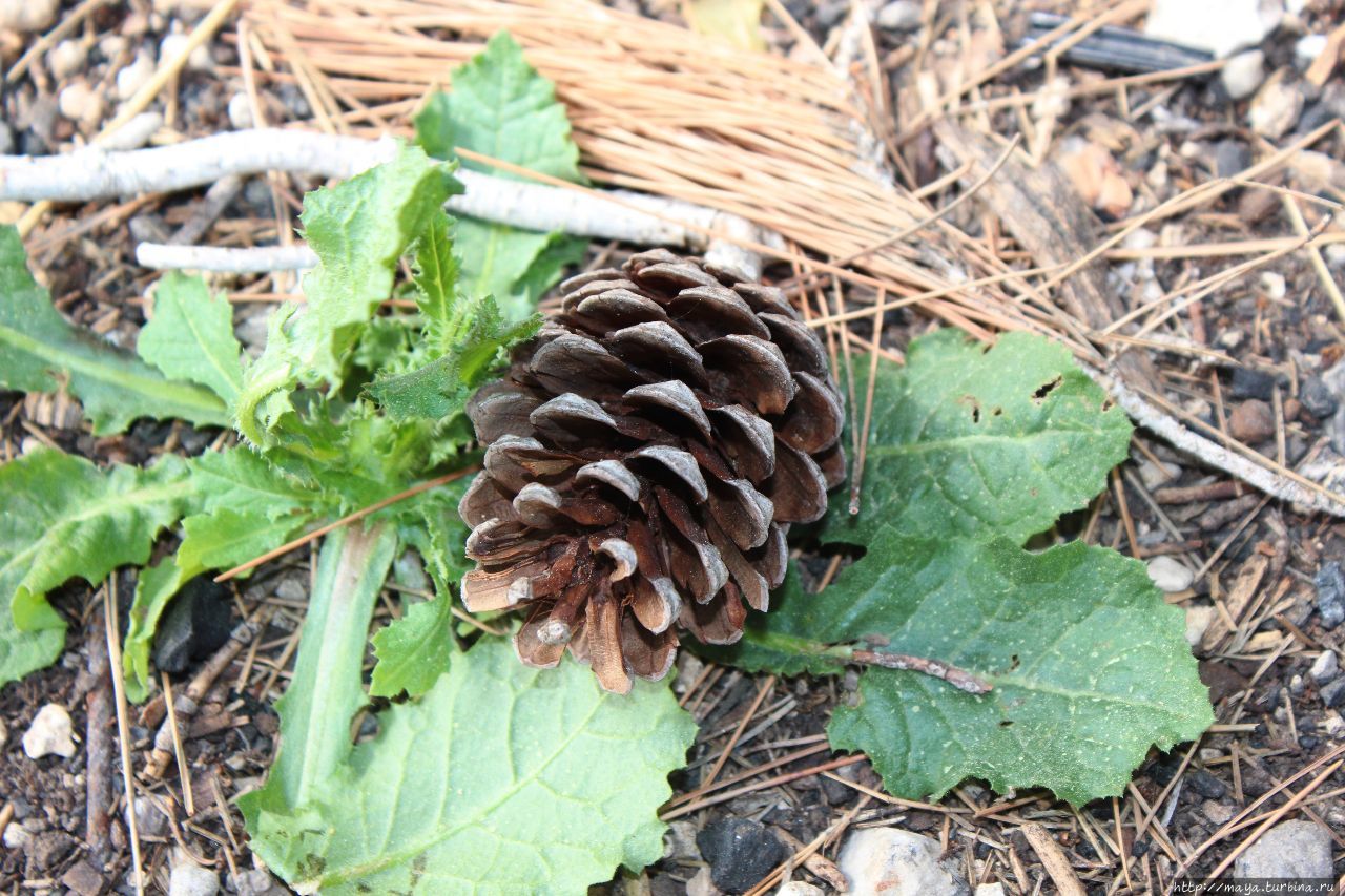 Весеннее Иерусалимский округ, Израиль