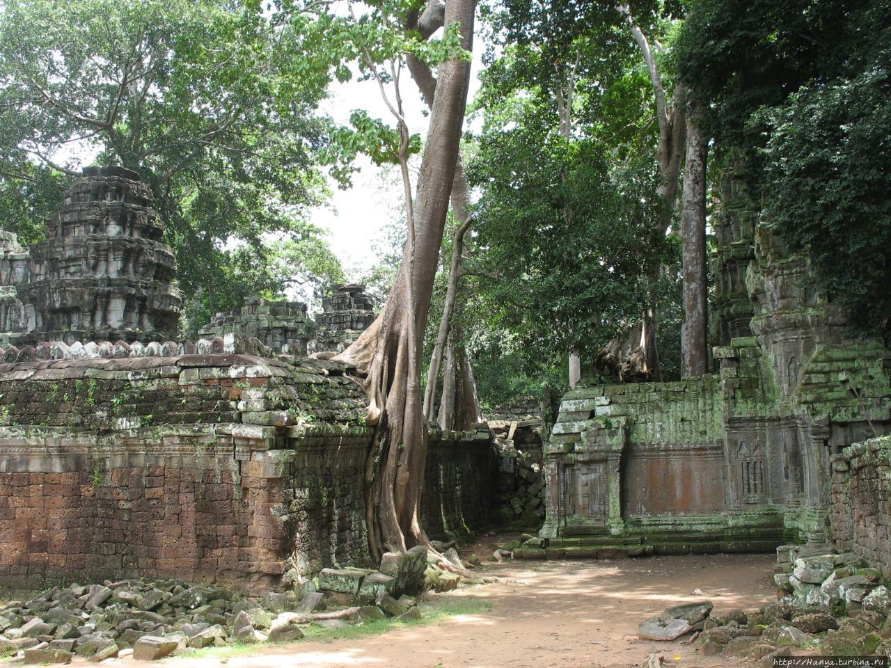 Храмовый комплекс Та Пром Ангкор (столица государства кхмеров), Камбоджа