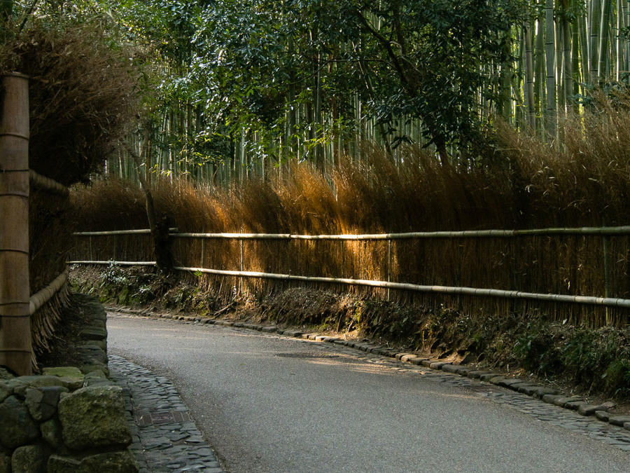Бамбуковые рощи Арасиямы Киото, Япония