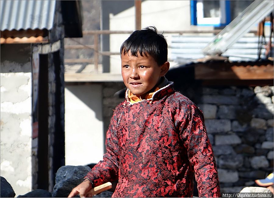 Подросток Лангтанг, Непал