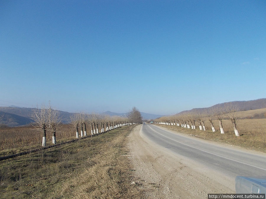 Салатавия: Дылым, Буртунай и другие Дылым, Россия