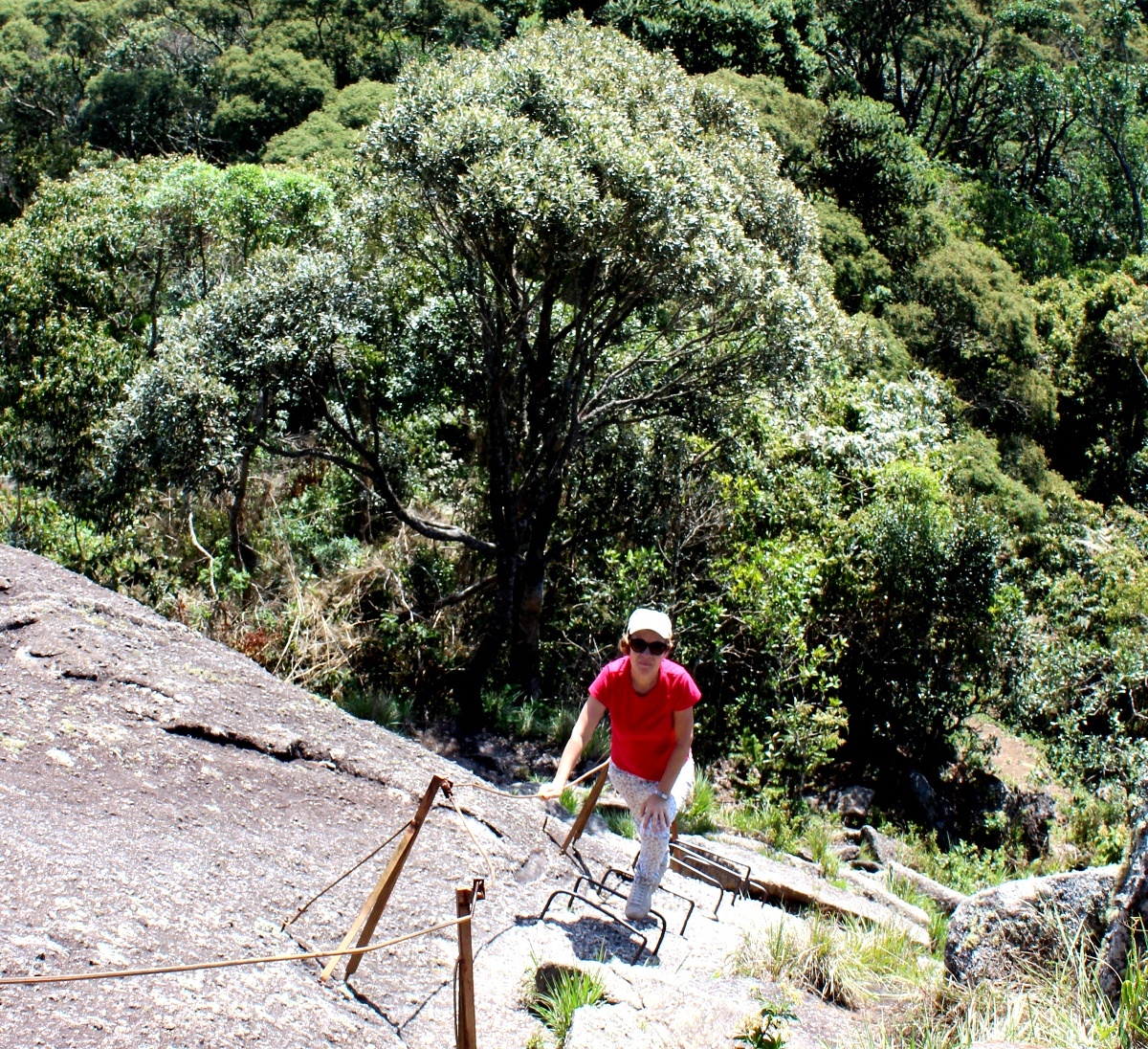 Мы взяли курс на Pedra do Forno (1970 m). Оставили машину на опорном пункте и почти час продвигались по очень приятной, но в буквальном смысле крутой тропе. Только на этом предфинишном участке подьёма приходится пользоваться её искусственными улучшениями Гонсалвис, Бразилия