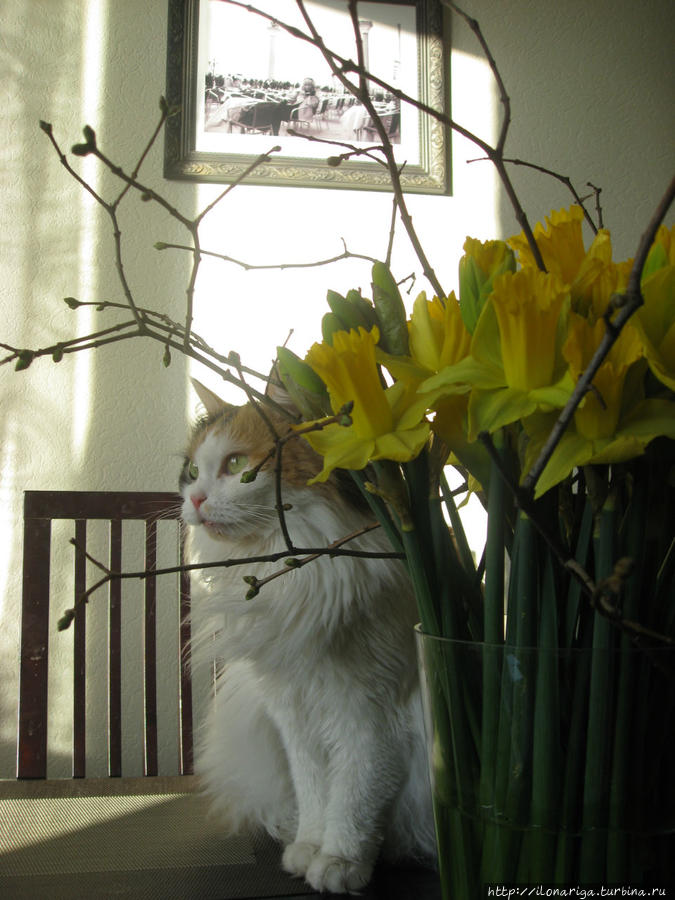 Мои университеты