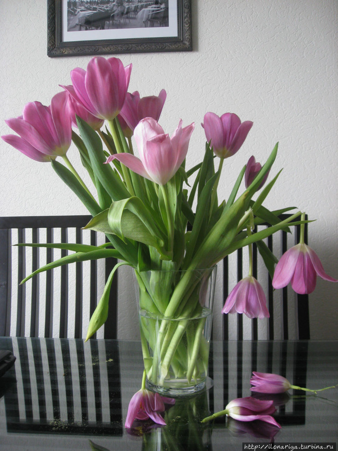 ...Я думала это весна, а это оттепель Рига, Латвия