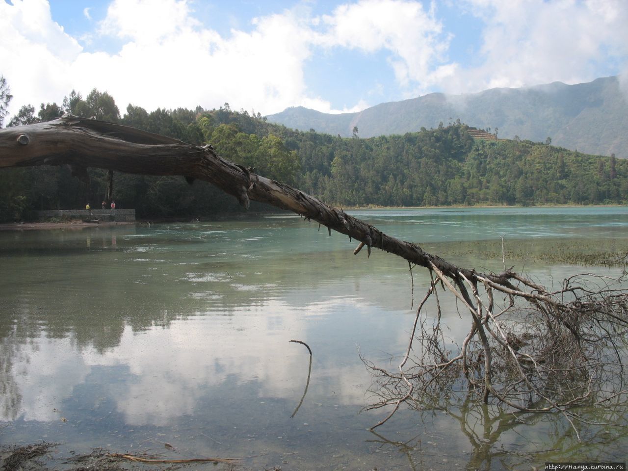 Озеро Телага Варна и Телага Пенглион Вонособо, Индонезия