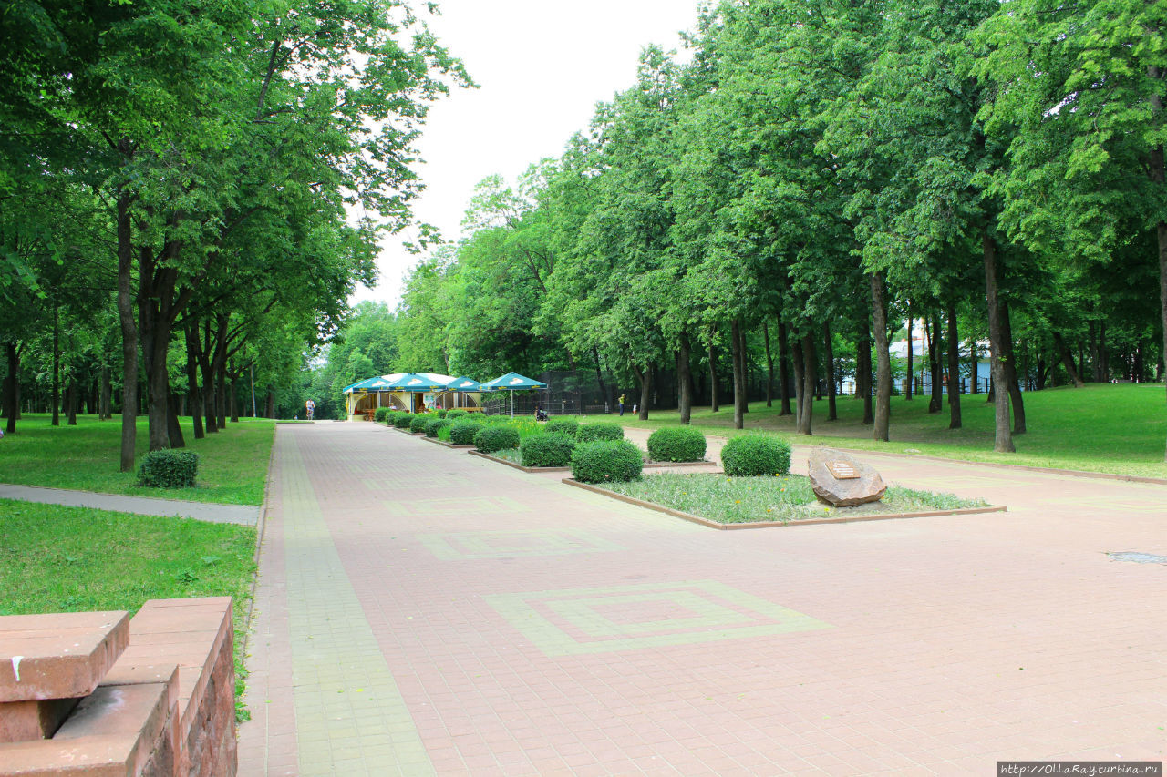 Зелень Сквера 70-летия образования Витебской области очень выручила в удушающую предгрозовую жару. Витебск, Беларусь