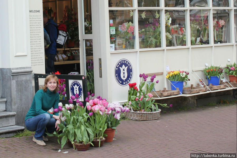 Музей тюльпанов ( Tulip Museum) расположен на самом известном канале Амстердама в районе Йордан по адресу Prinsengracht- 116.