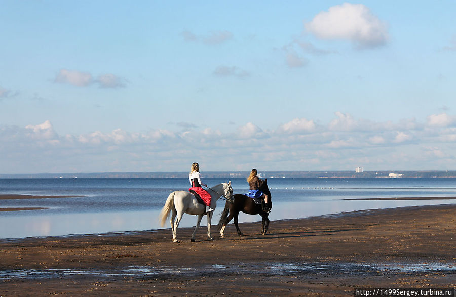 Берег Сестрорецк, Россия