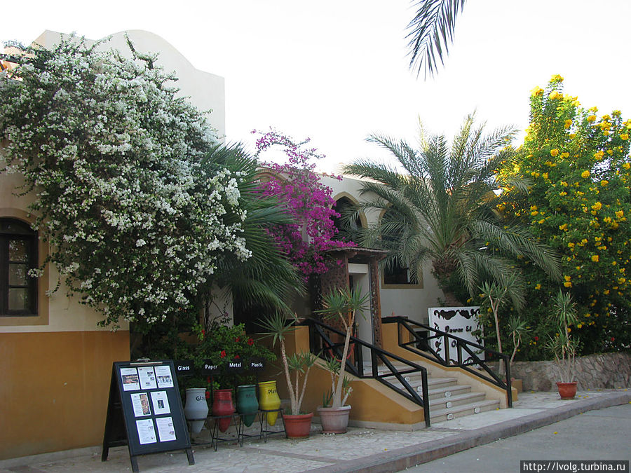 Рецепшн отеля Давлар Эль Омда