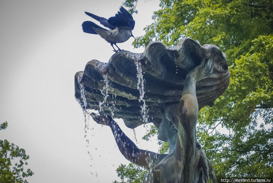 Фонтаны Риги Рига, Латвия