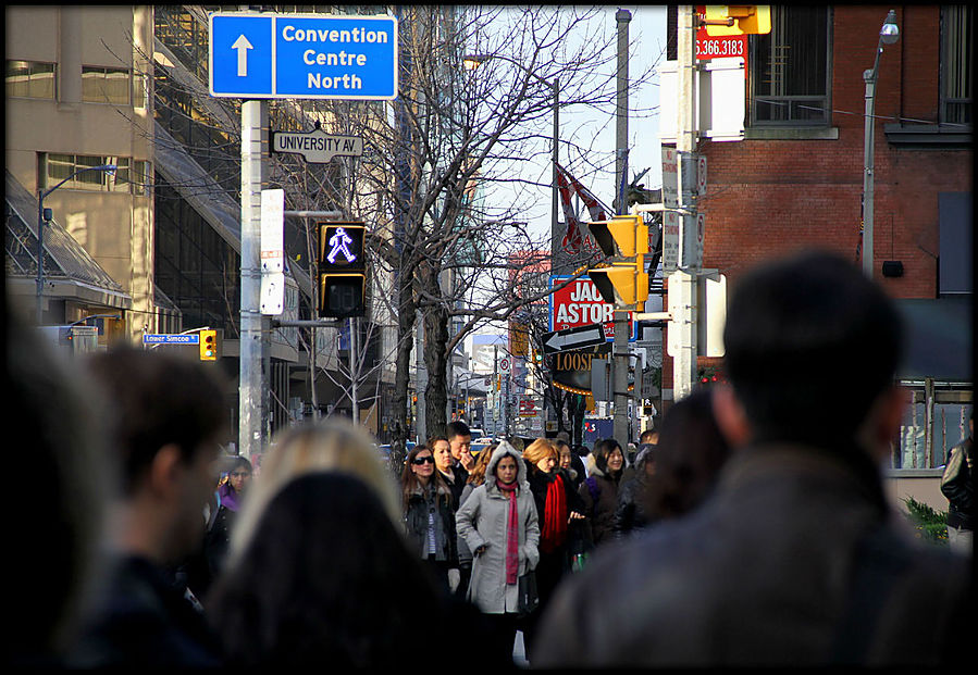 Обычные люди — Торонто Торонто, Канада