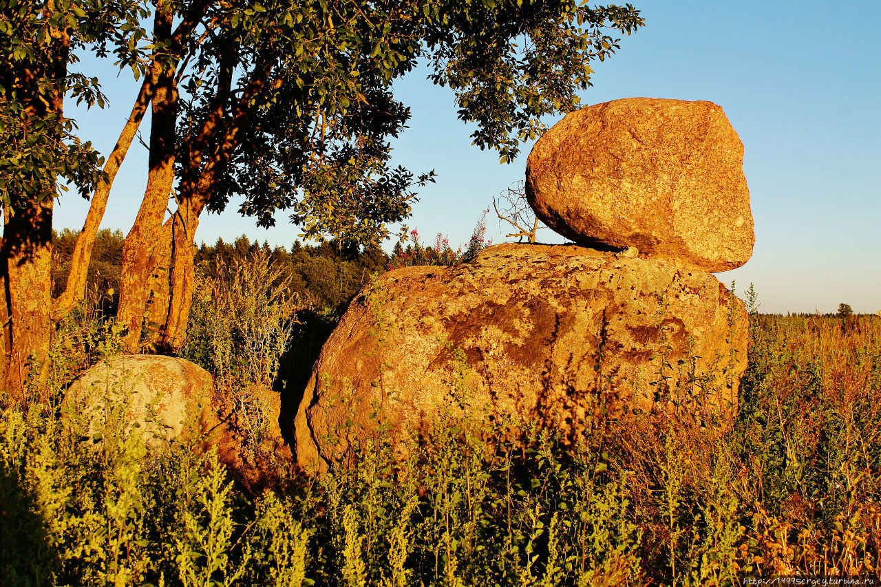 Воспоминания #3 Санкт-Петербург и Ленинградская область, Россия