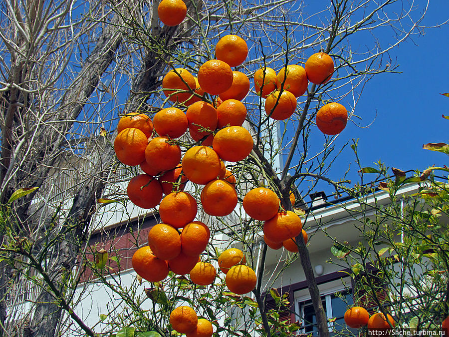 Весь Пирей — от узких улочек до широких проспектов Пирей, Греция