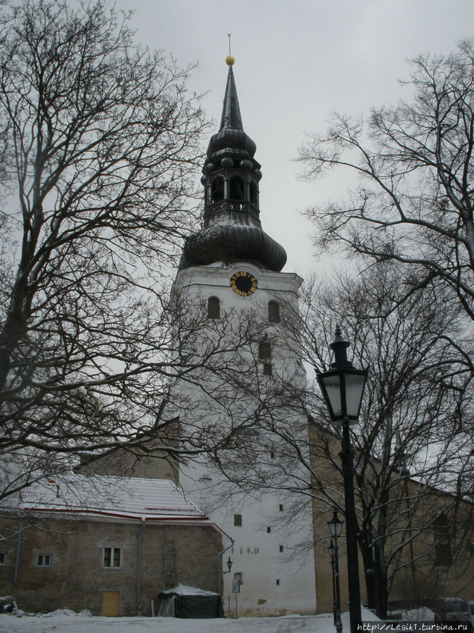 Таллин. Путешествие в средневековье и обратно Таллин, Эстония
