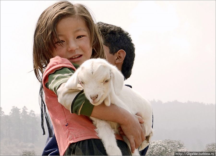 Девочка с овечкой Госайкунд, Непал