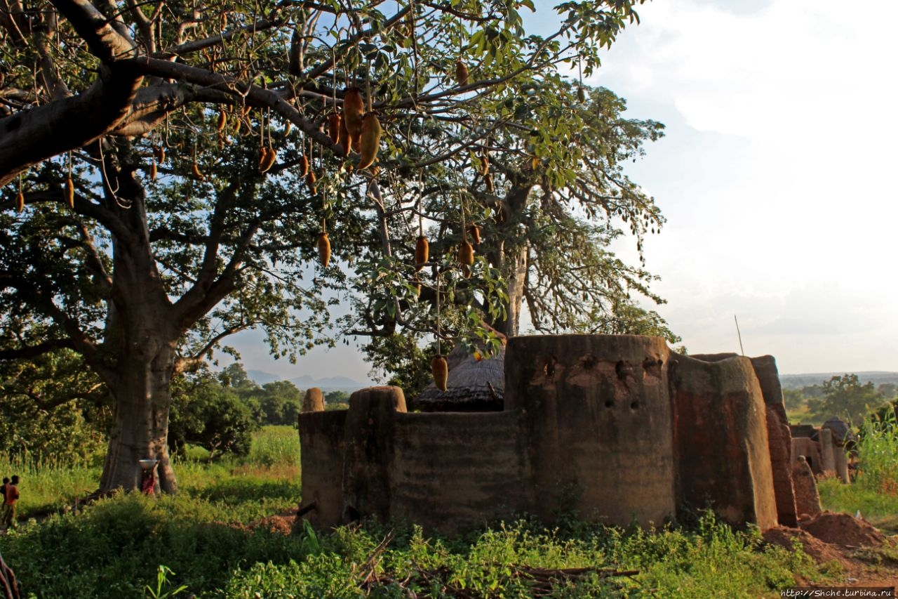 Диссани Кутаммаку – земля народности батаммариба, Того