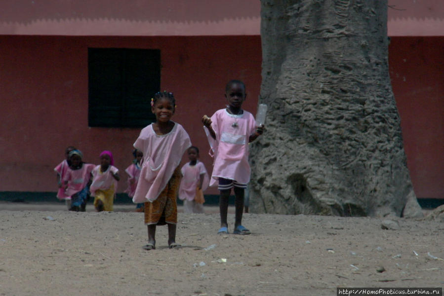 Тчамба. Школа и школьники Тчамба, Камерун
