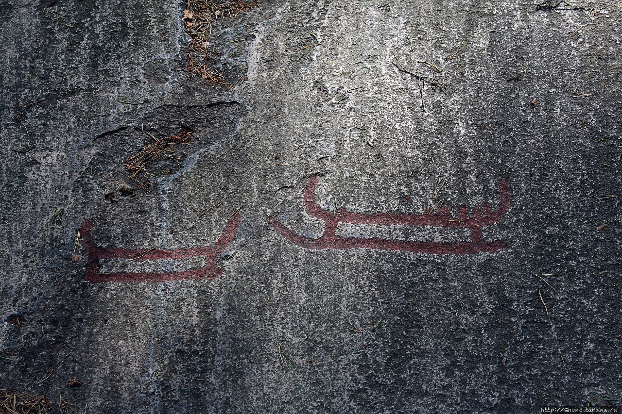 Наскальные рельефы в Тануме Танум, Швеция