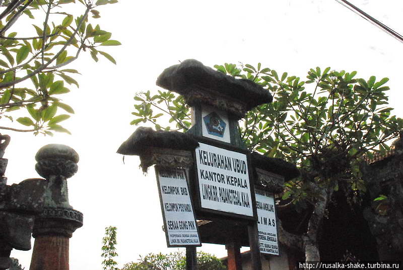 Прогулка по философскому Убуду Убуд, Индонезия